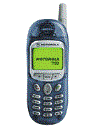 Best available price of Motorola T190 in Cna
